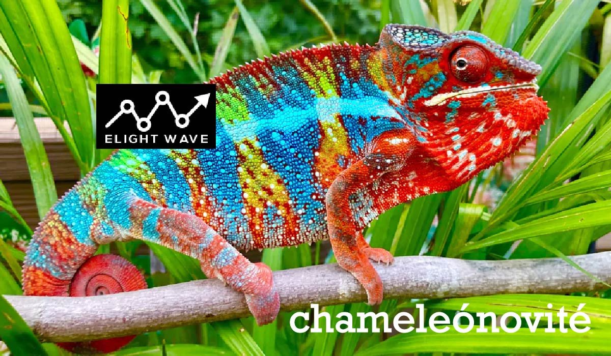 chameleónovité