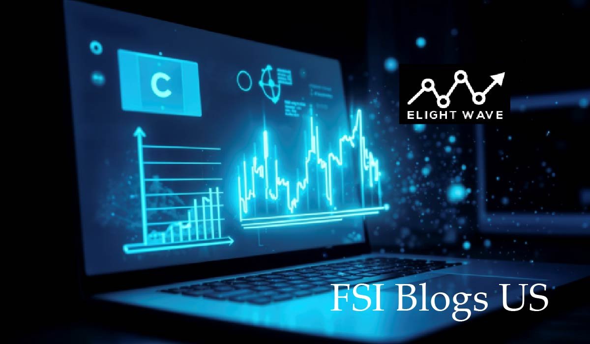 fsi blogs us