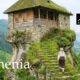 ronenia